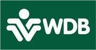 WDB - Toggle Now Partners